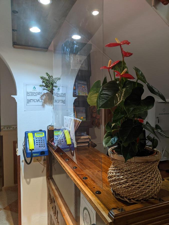 Hostal Moraima Capileira Kültér fotó